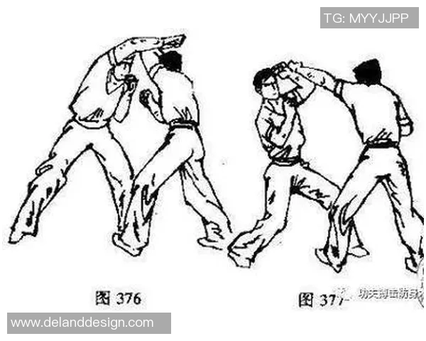 专业解读：V5的防守打法